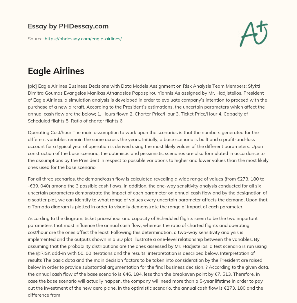 Eagle Airlines essay