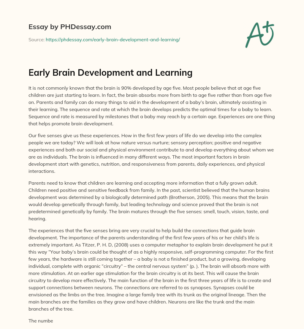 Early Brain Development and Learning essay