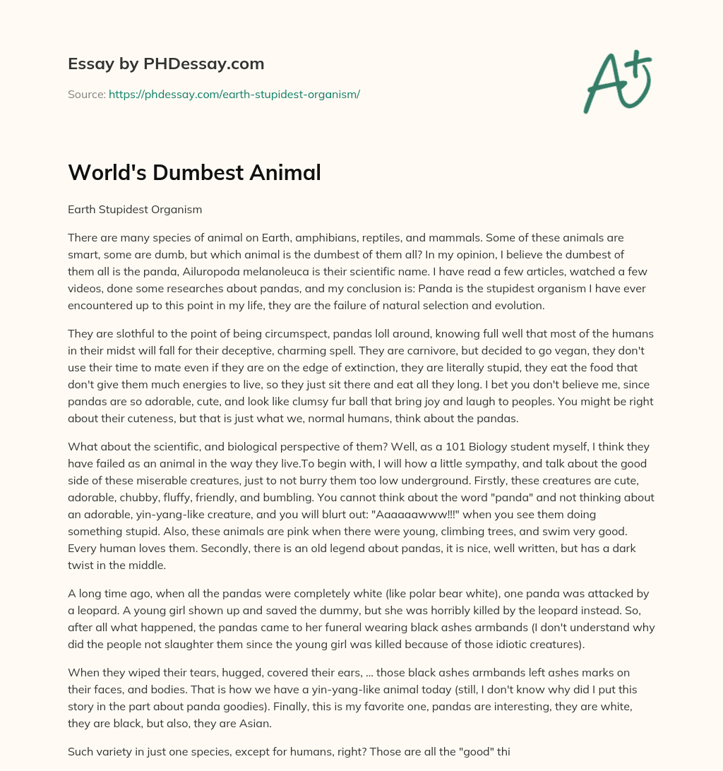 World’s Dumbest Animal essay