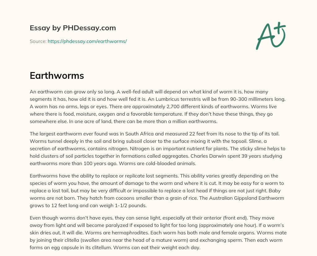 Earthworms: Fascinating Facts and Functions in Soil Ecosystems essay