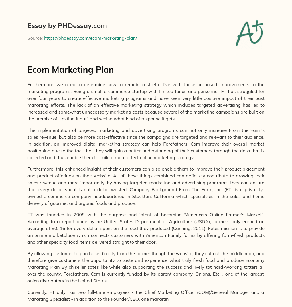 Ecom Marketing Plan essay