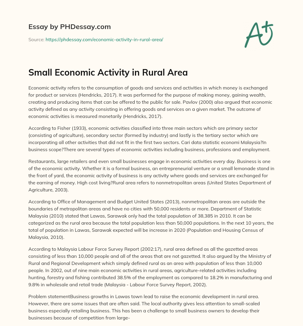 Small Economic Activity in Rural Area essay