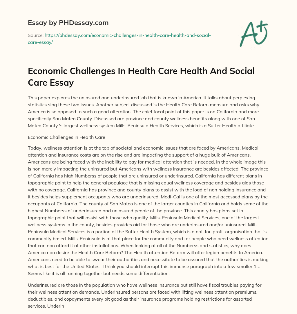 Economic Challenges In Health Care Health And Social Care Essay essay