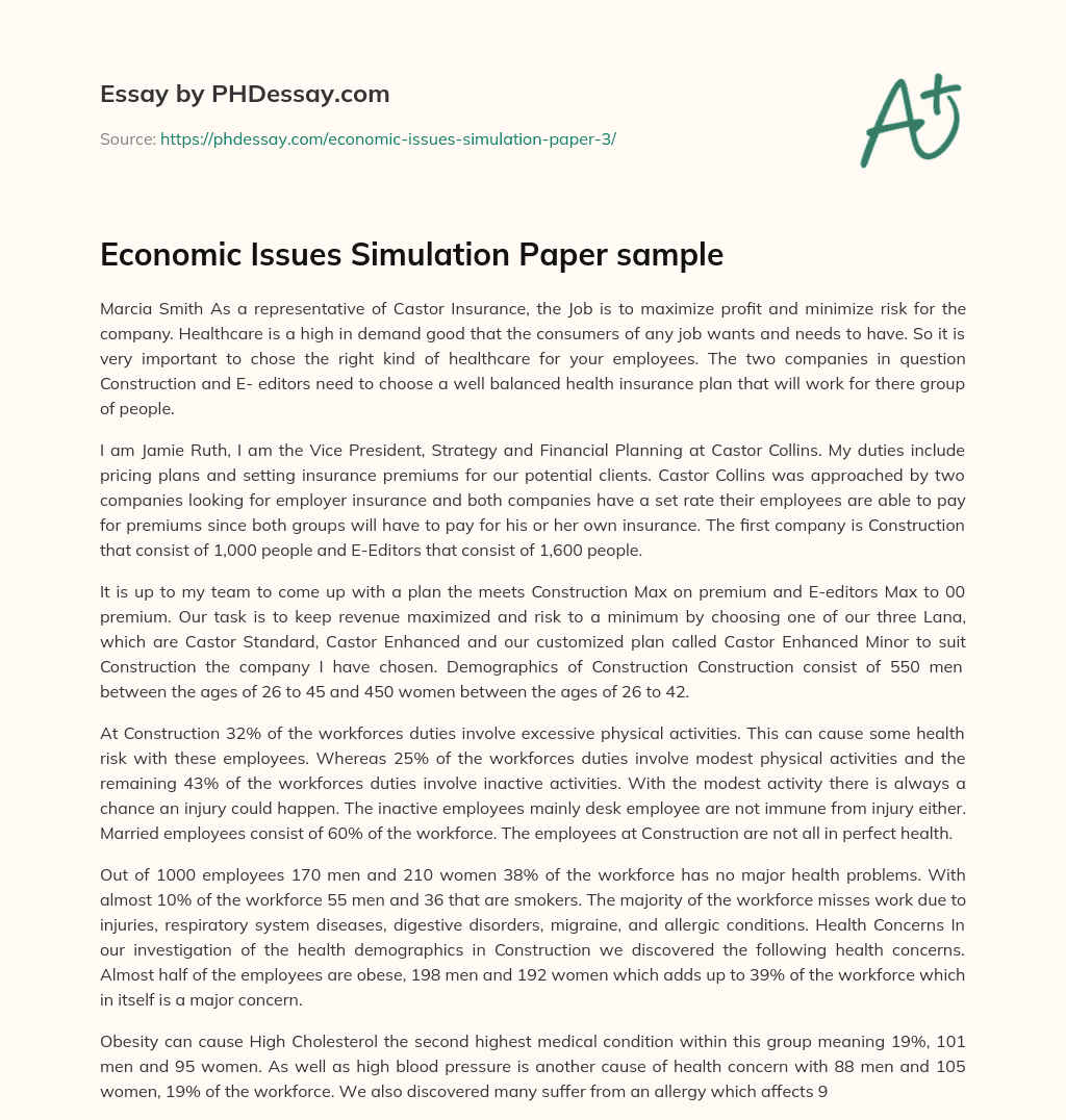 Economic Issues Simulation Paper sample essay