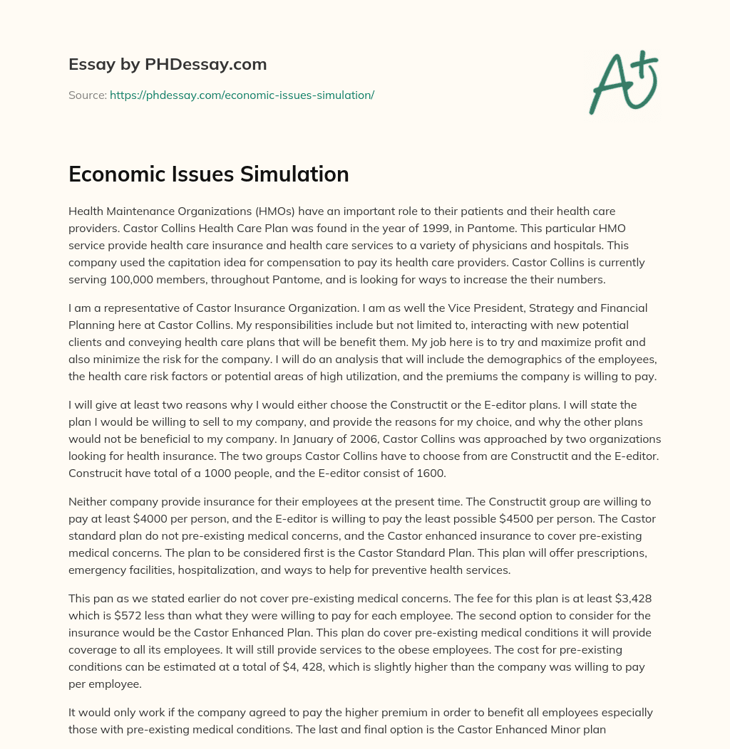 Economic Issues Simulation essay