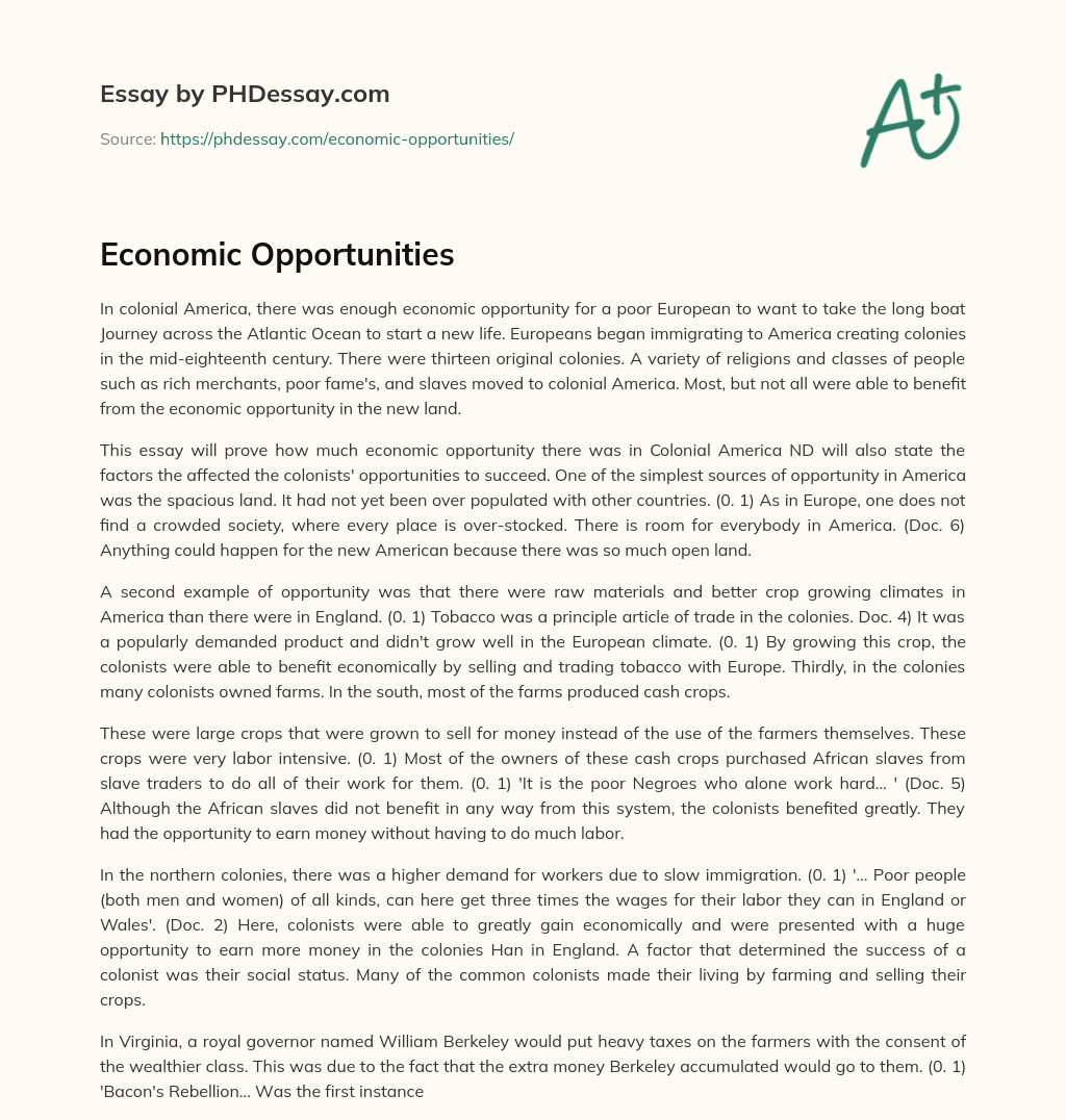 Economic Opportunities essay