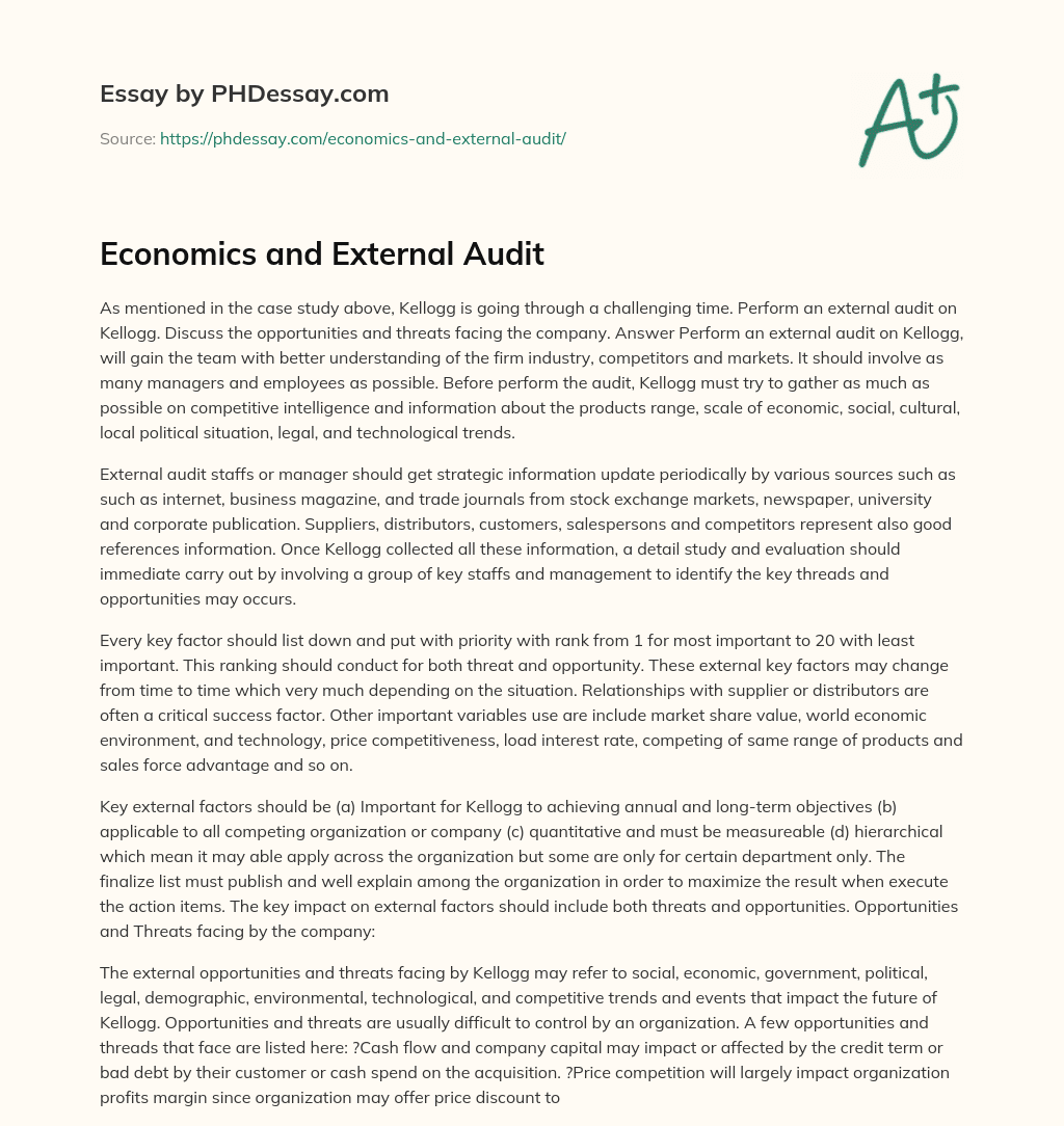 Economics and External Audit essay