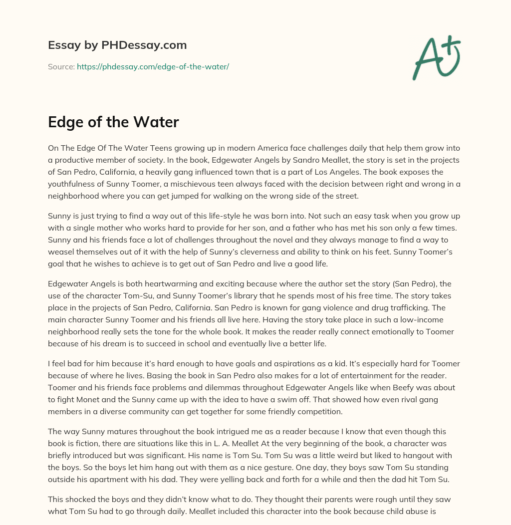 Edge of the Water essay