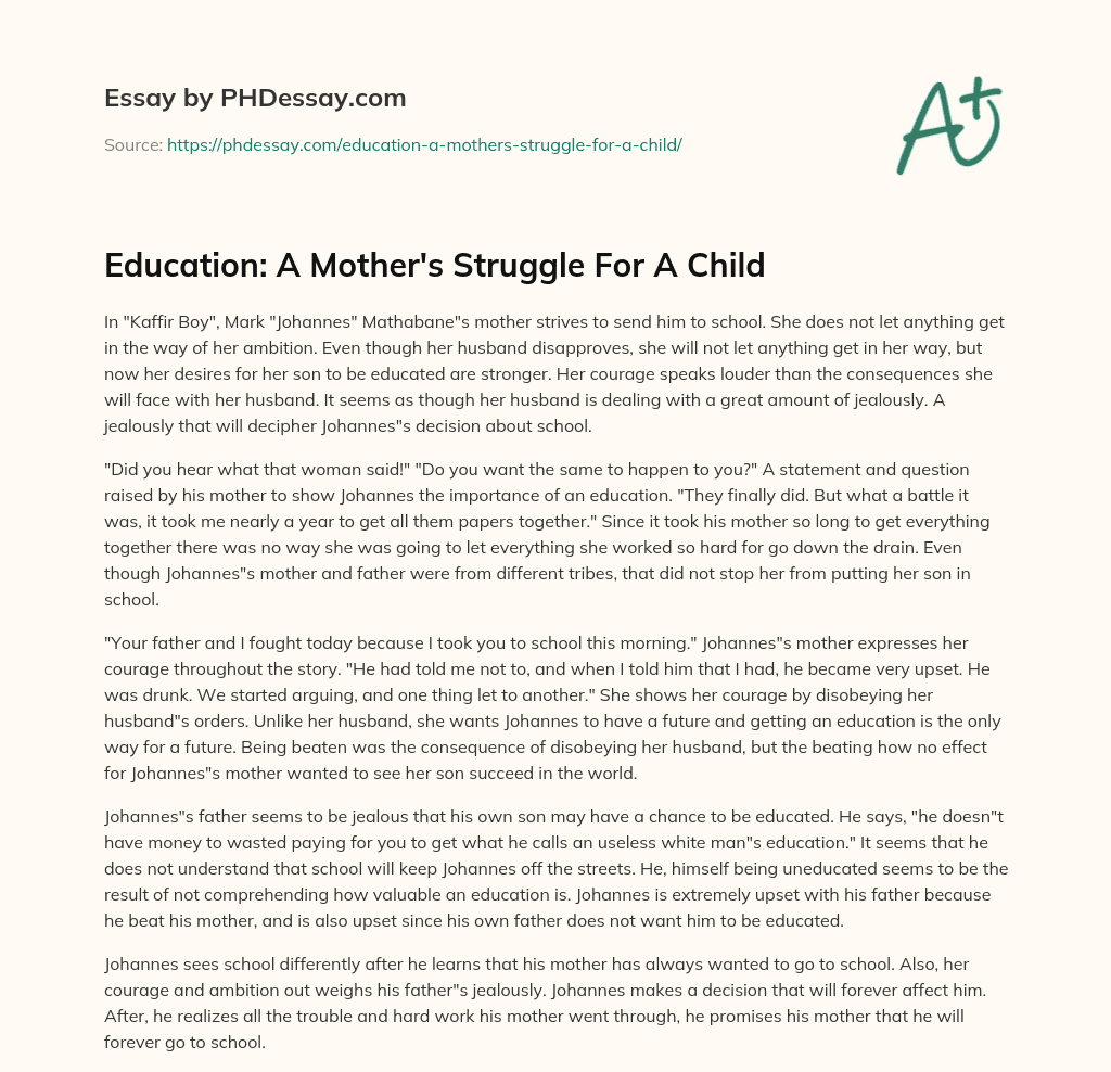 Education: A Mother’s Struggle For A Child essay