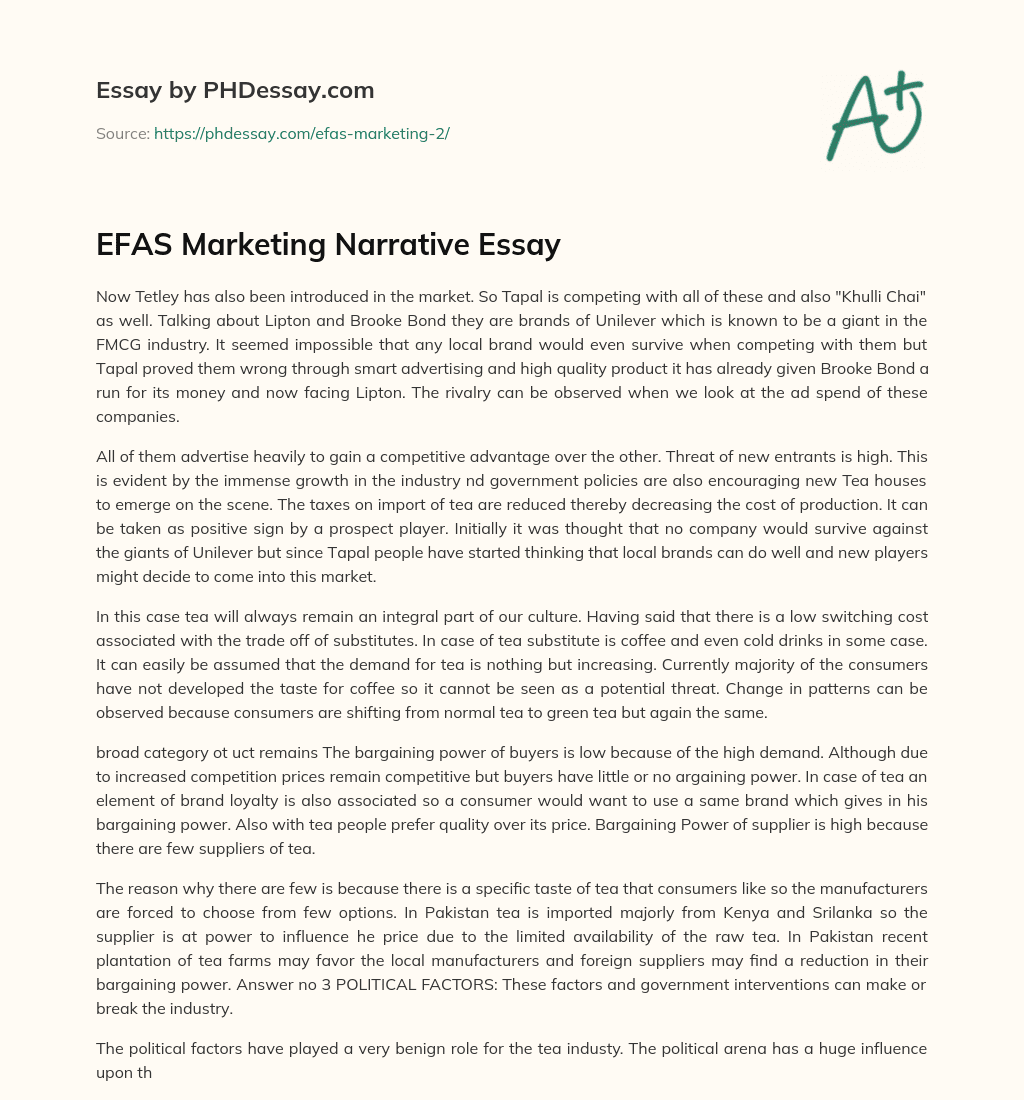 EFAS Marketing Narrative Essay essay