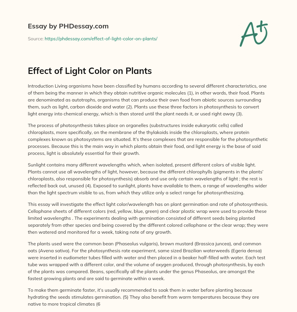Effect of Light Color on Plants essay