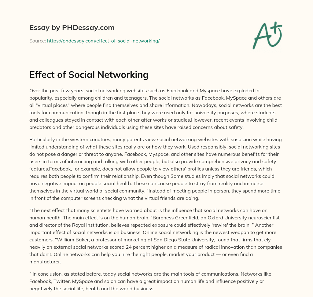 Effect of Social Networking essay