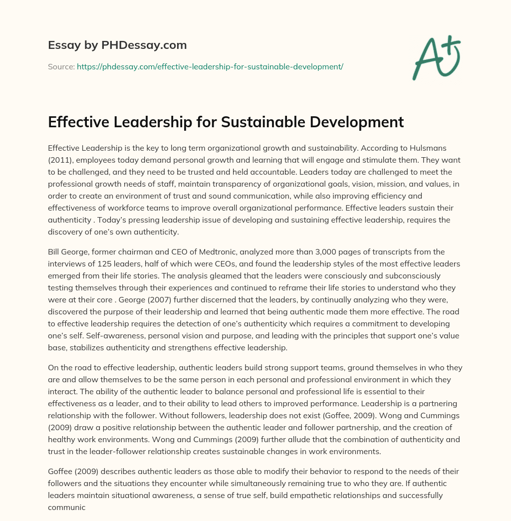 Effective Leadership for Sustainable Development essay
