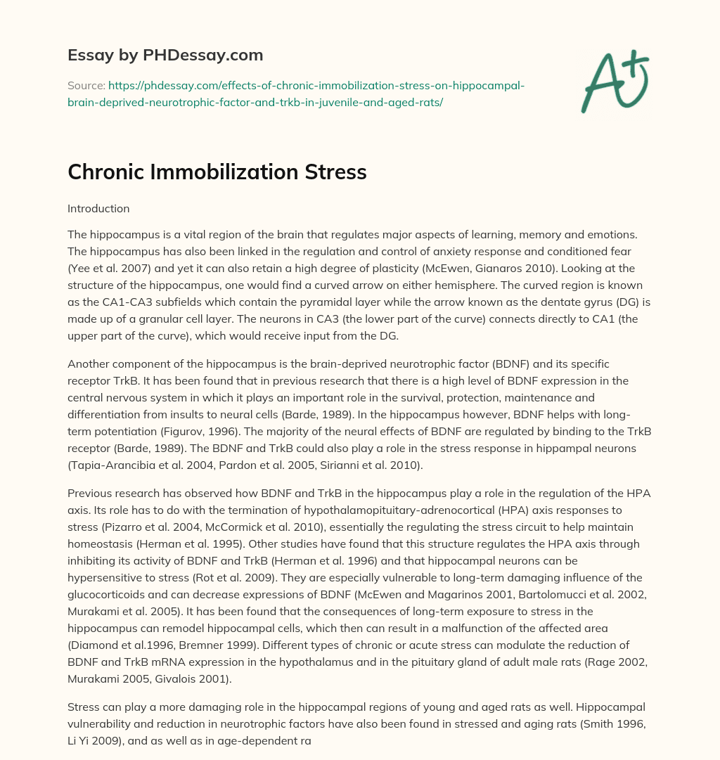 Chronic Immobilization Stress essay