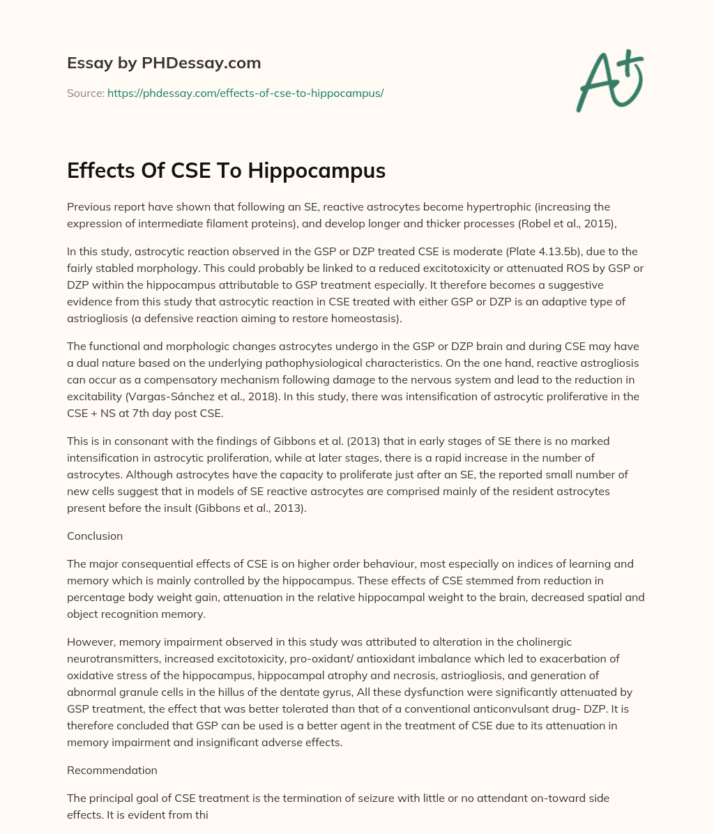 Effects Of CSE To Hippocampus essay