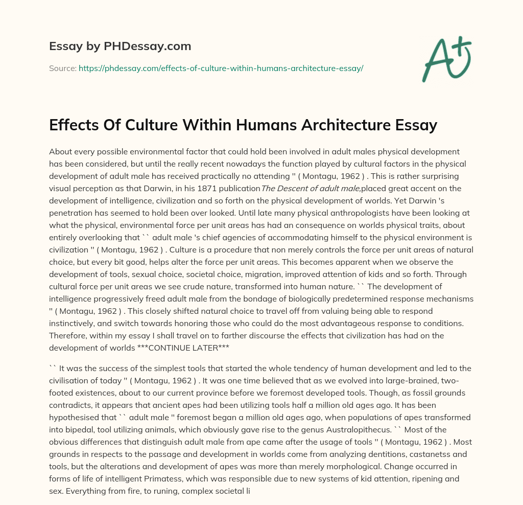 Effects Of Culture Within Humans Architecture Essay essay
