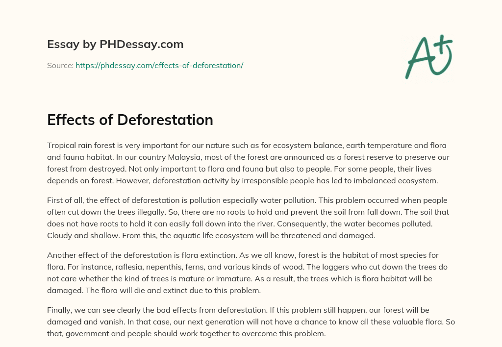 essay of 300 words on deforestation