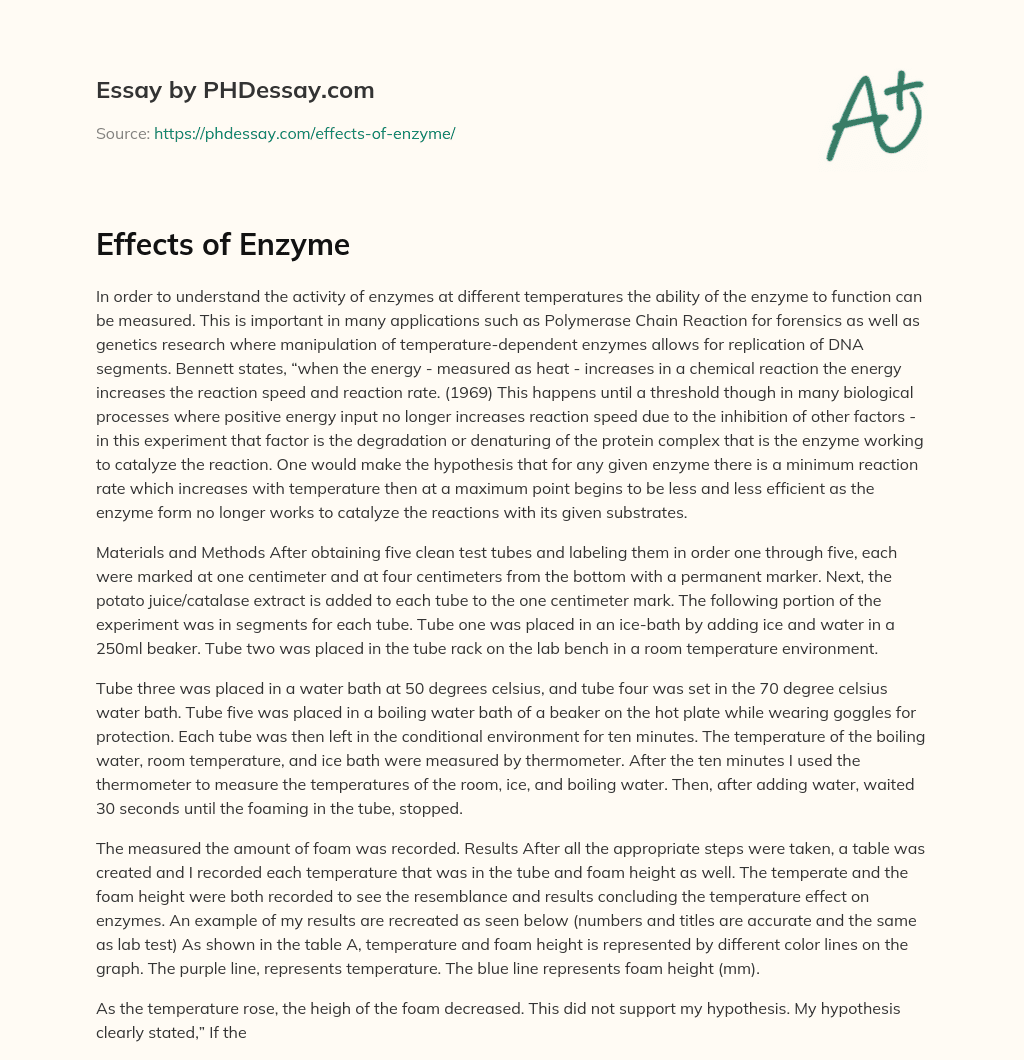Effects of Enzyme essay