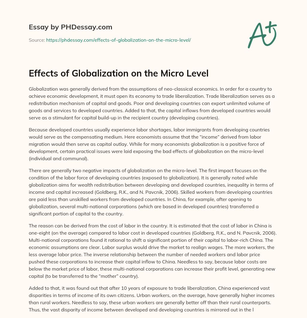 Effects of Globalization on the Micro Level essay