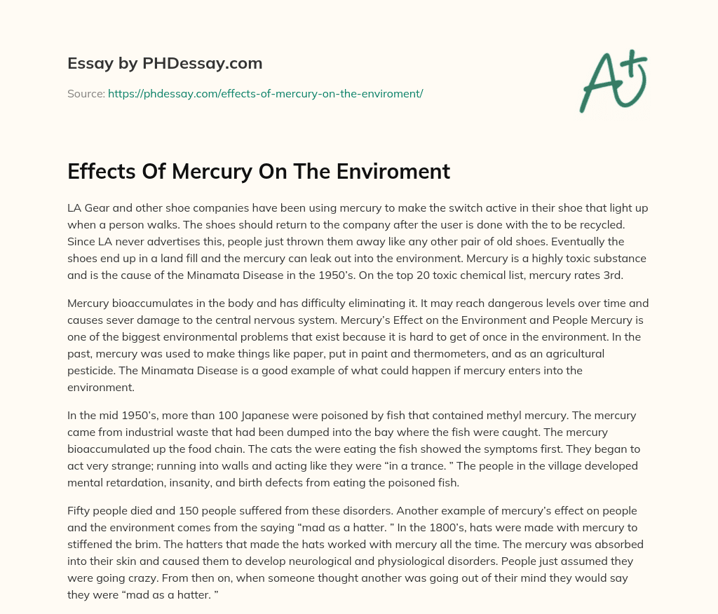 Effects Of Mercury On The Enviroment essay