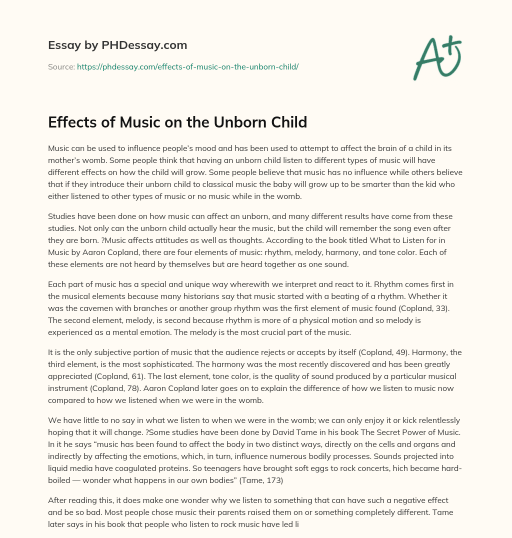 Effects of Music on the Unborn Child essay