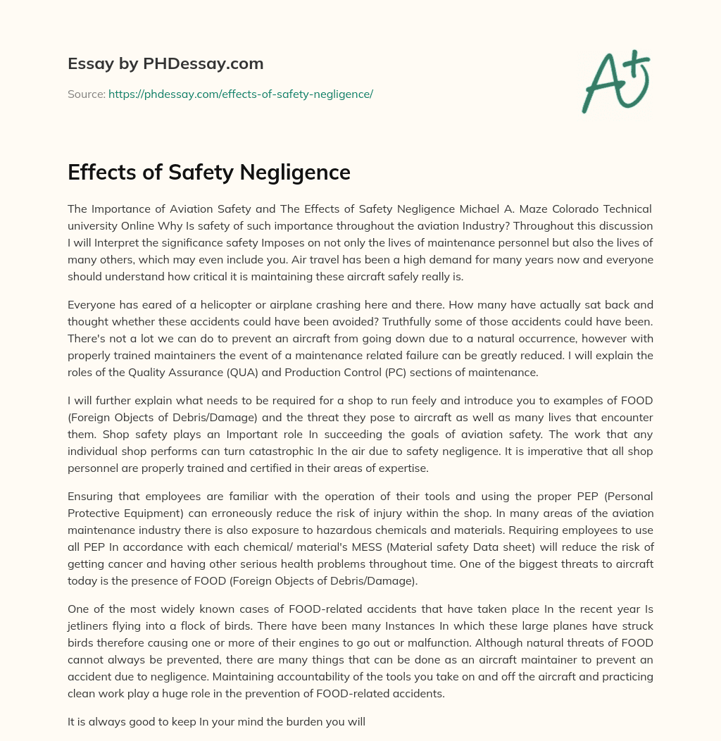 Effects of Safety Negligence essay