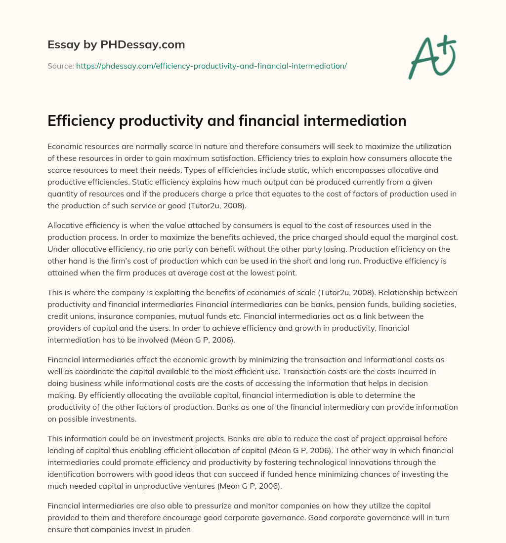 Efficiency productivity and financial intermediation essay