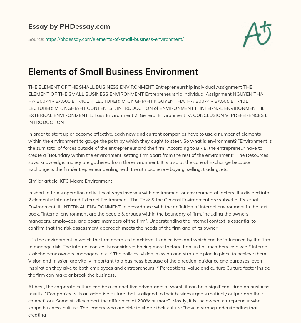Elements of Small Business Environment essay