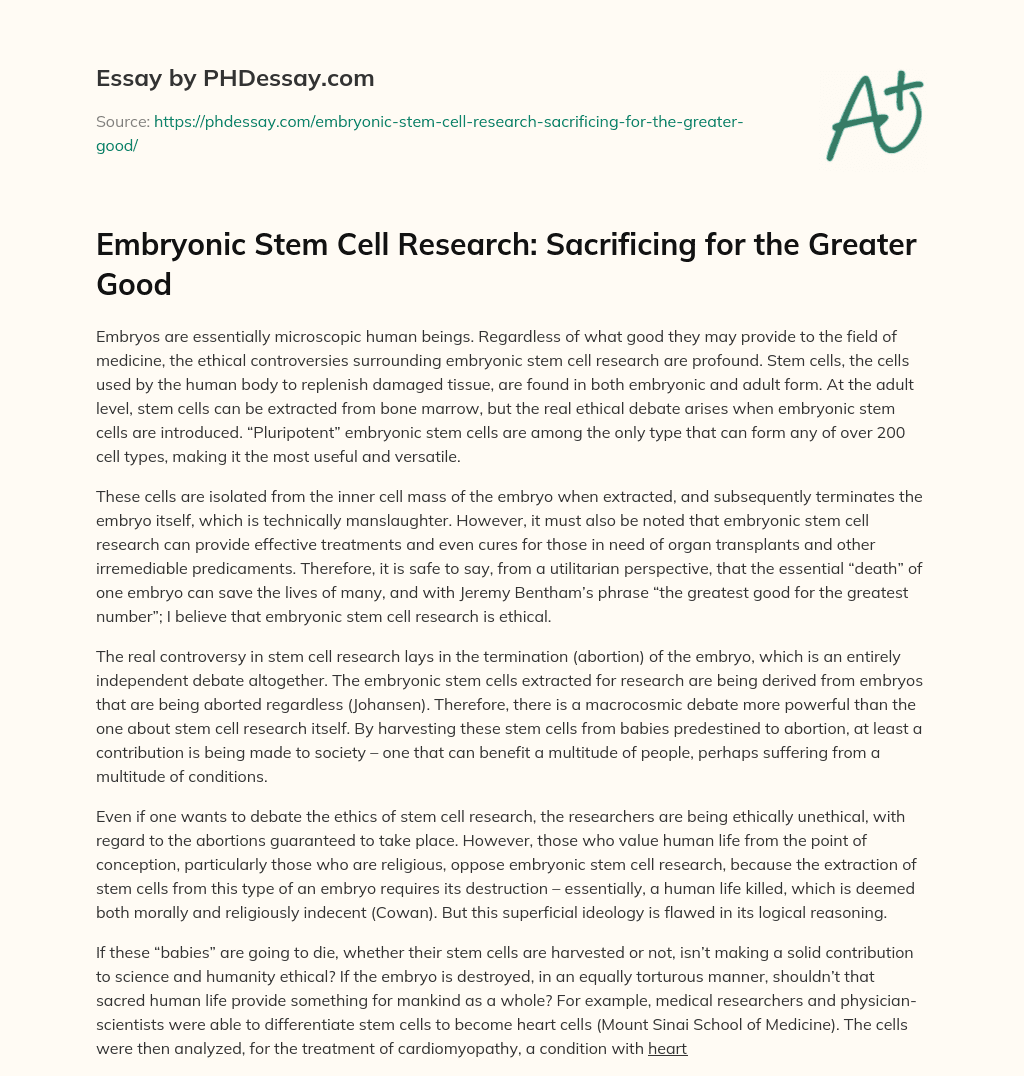 embryonic stem cell research thesis