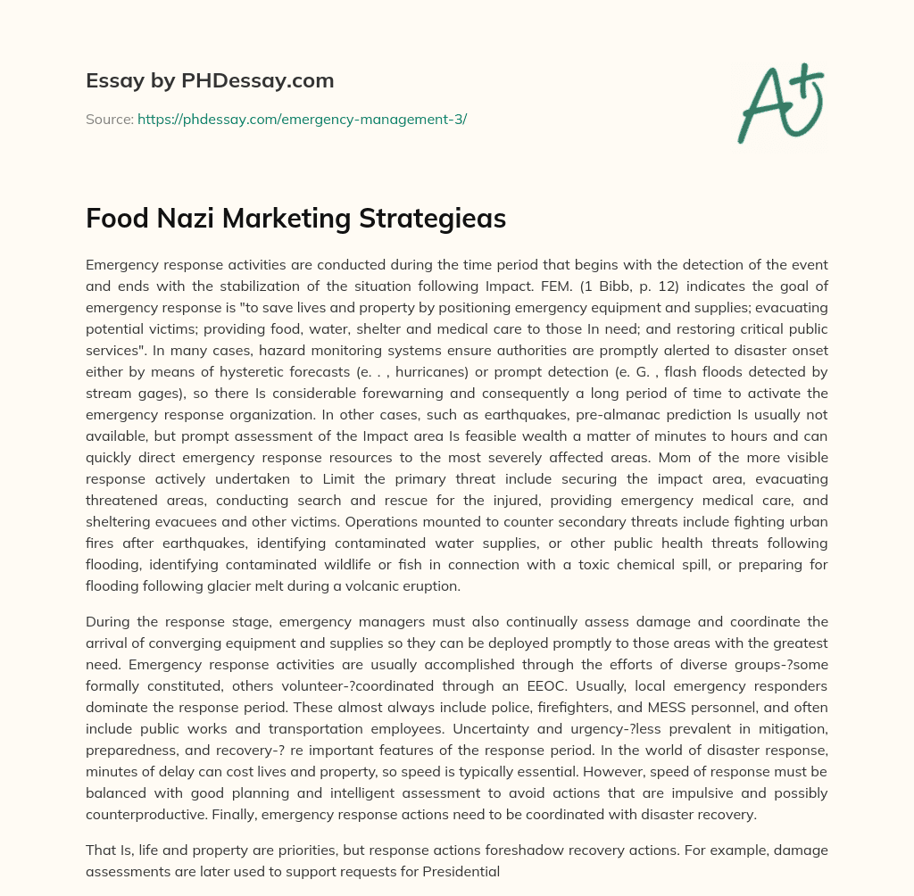 Food Nazi Marketing Strategieas essay