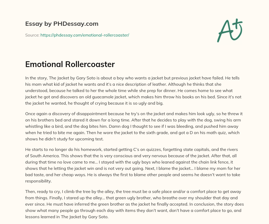 Emotional Rollercoaster essay