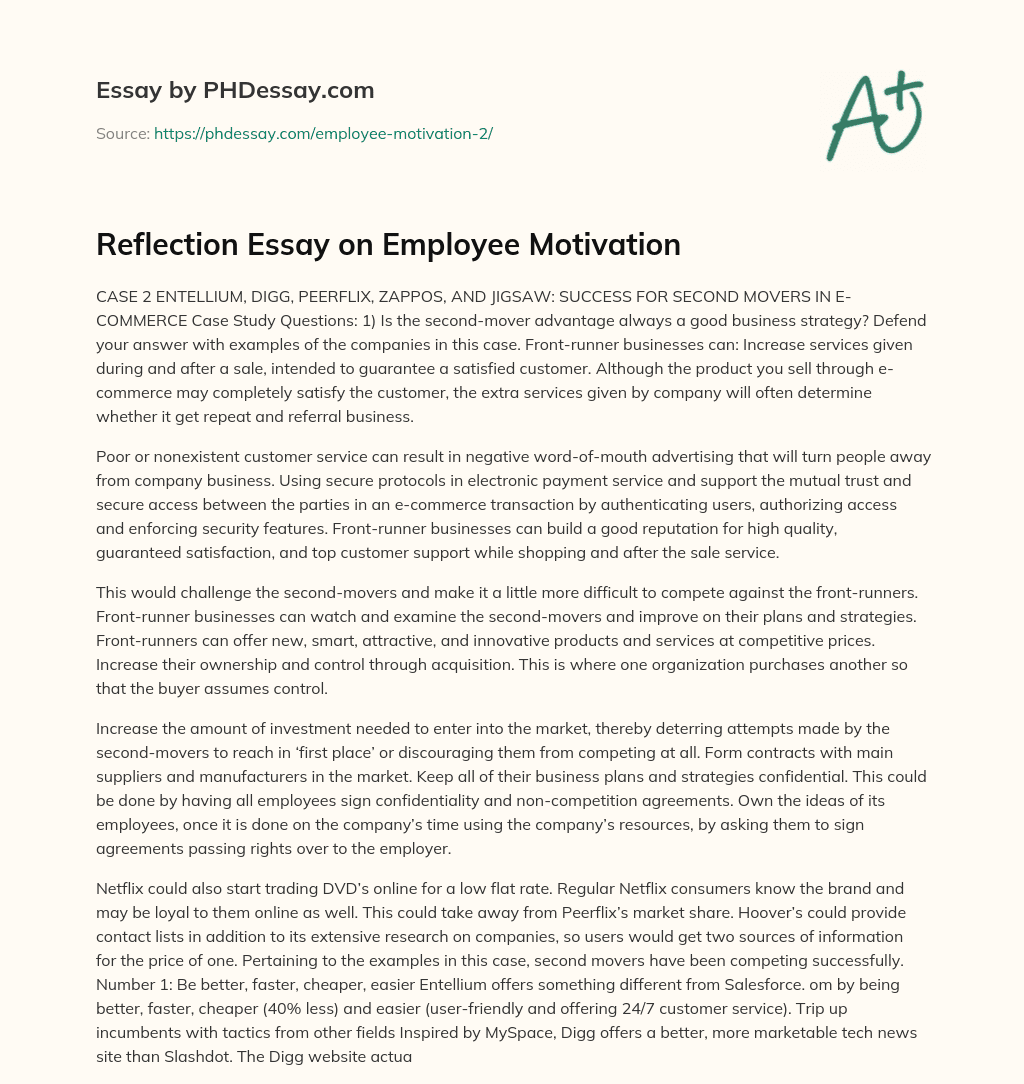 Reflection Essay on Employee Motivation essay