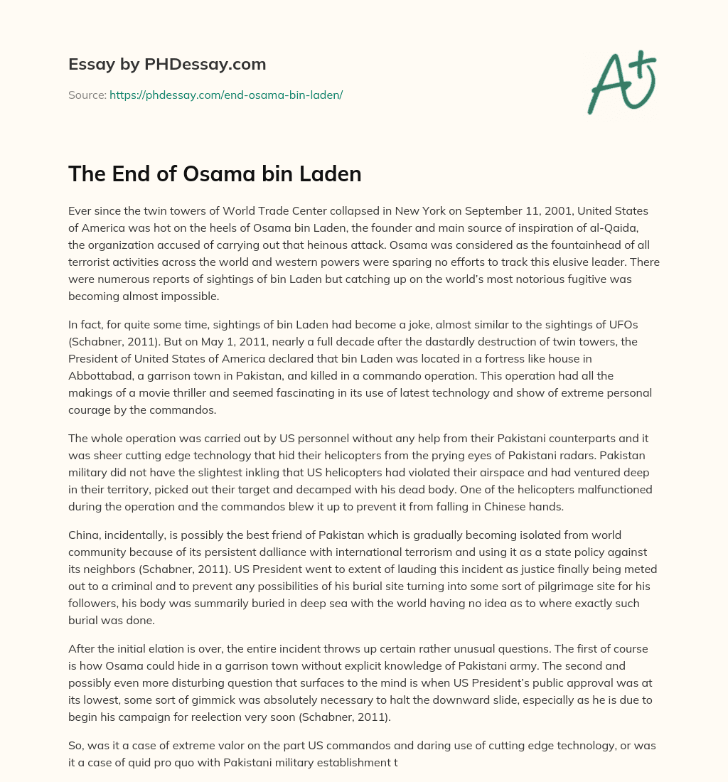 The End of Osama bin Laden essay