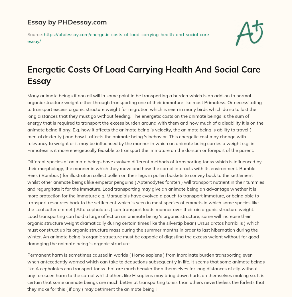 Energetic Costs Of Load Carrying Health And Social Care Essay essay