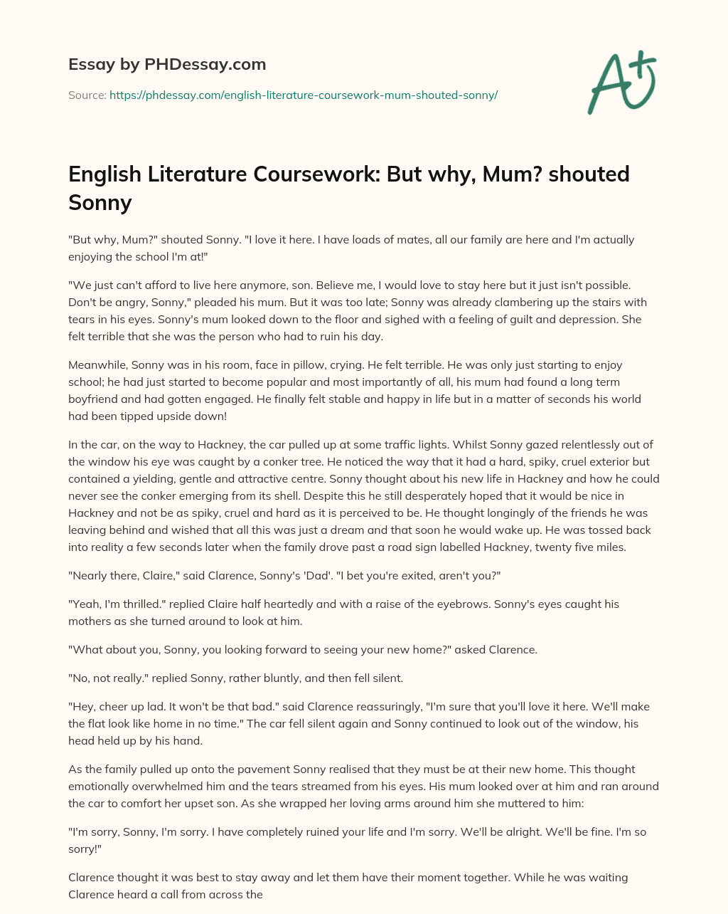 English Literature Coursework: But why, Mum? shouted Sonny essay