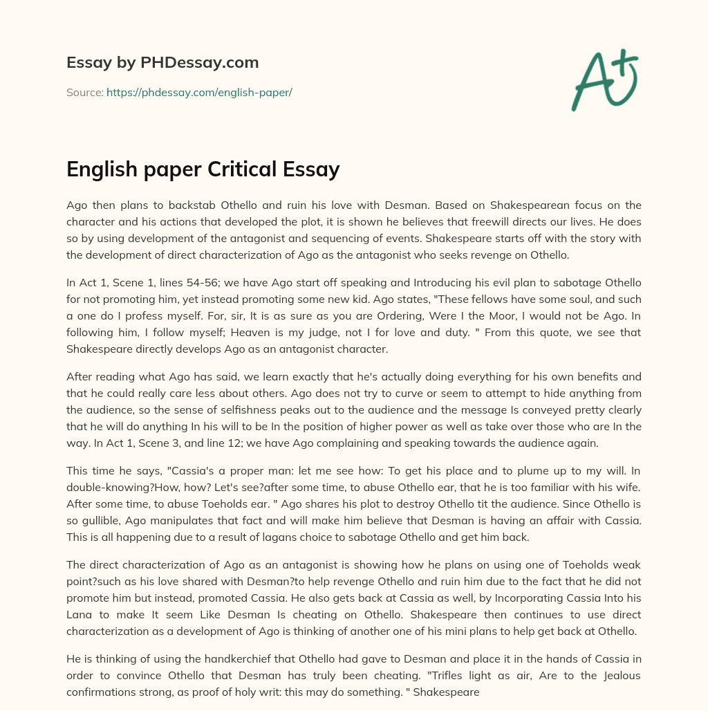 English paper Critical Essay essay