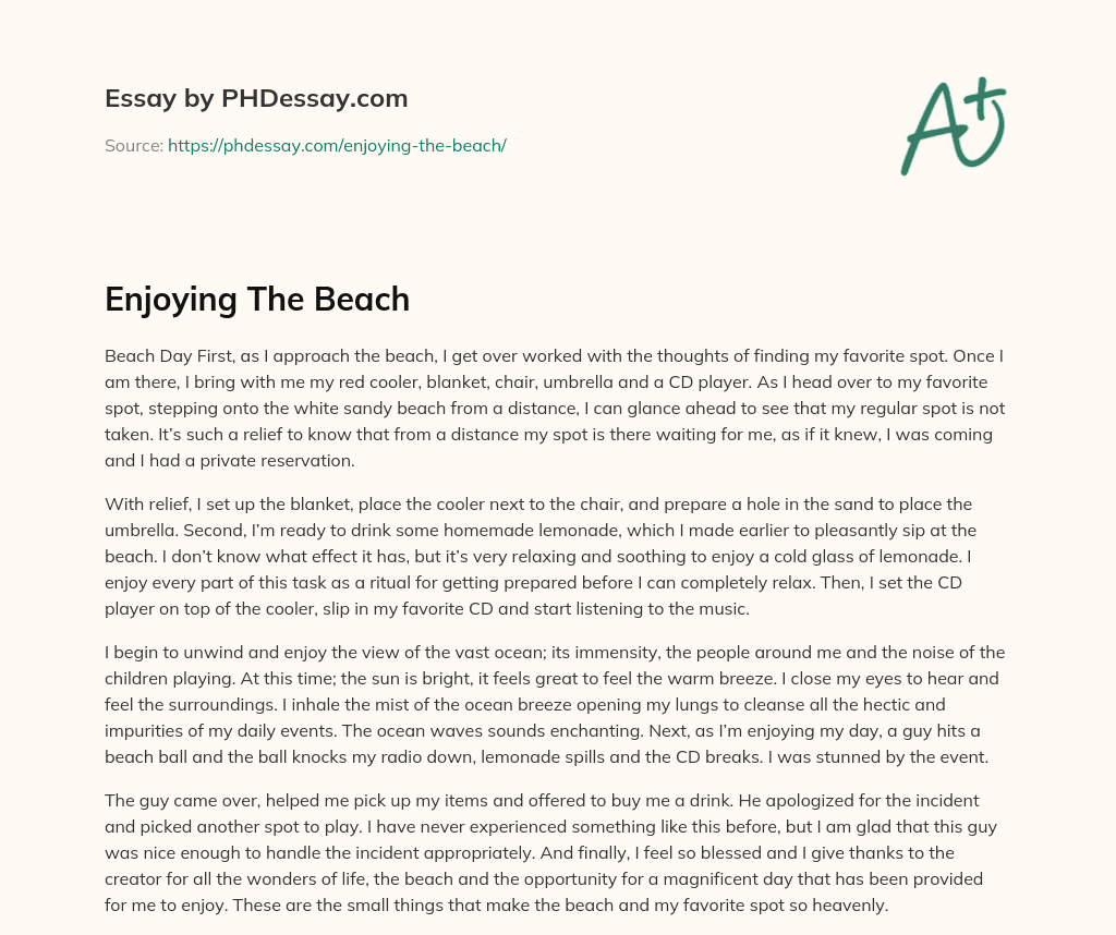 Enjoying The Beach essay