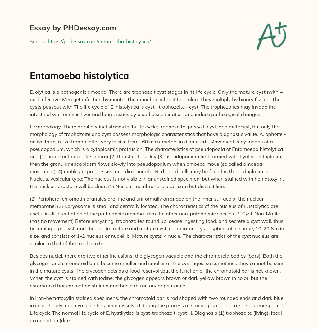 Entamoeba histolytica essay
