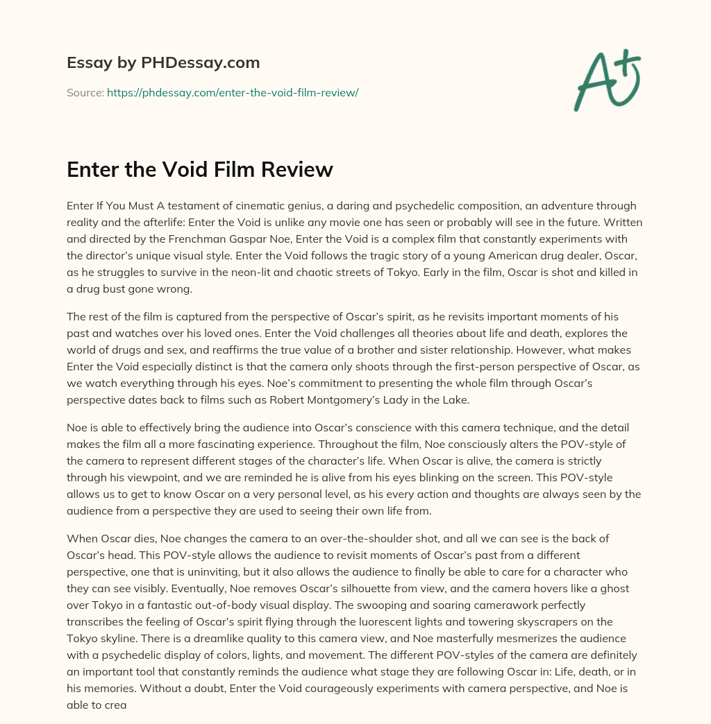 Enter the Void Film Review essay