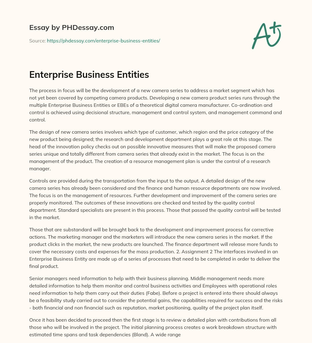 Enterprise Business Entities essay