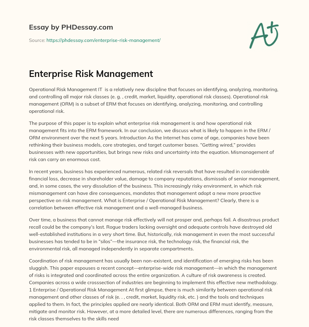 Enterprise Risk Management essay