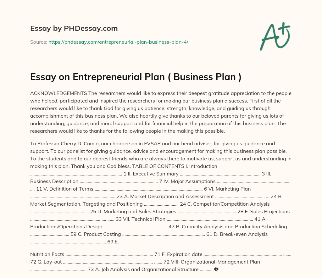 Essay on Entrepreneurial Plan ( Business Plan ) essay