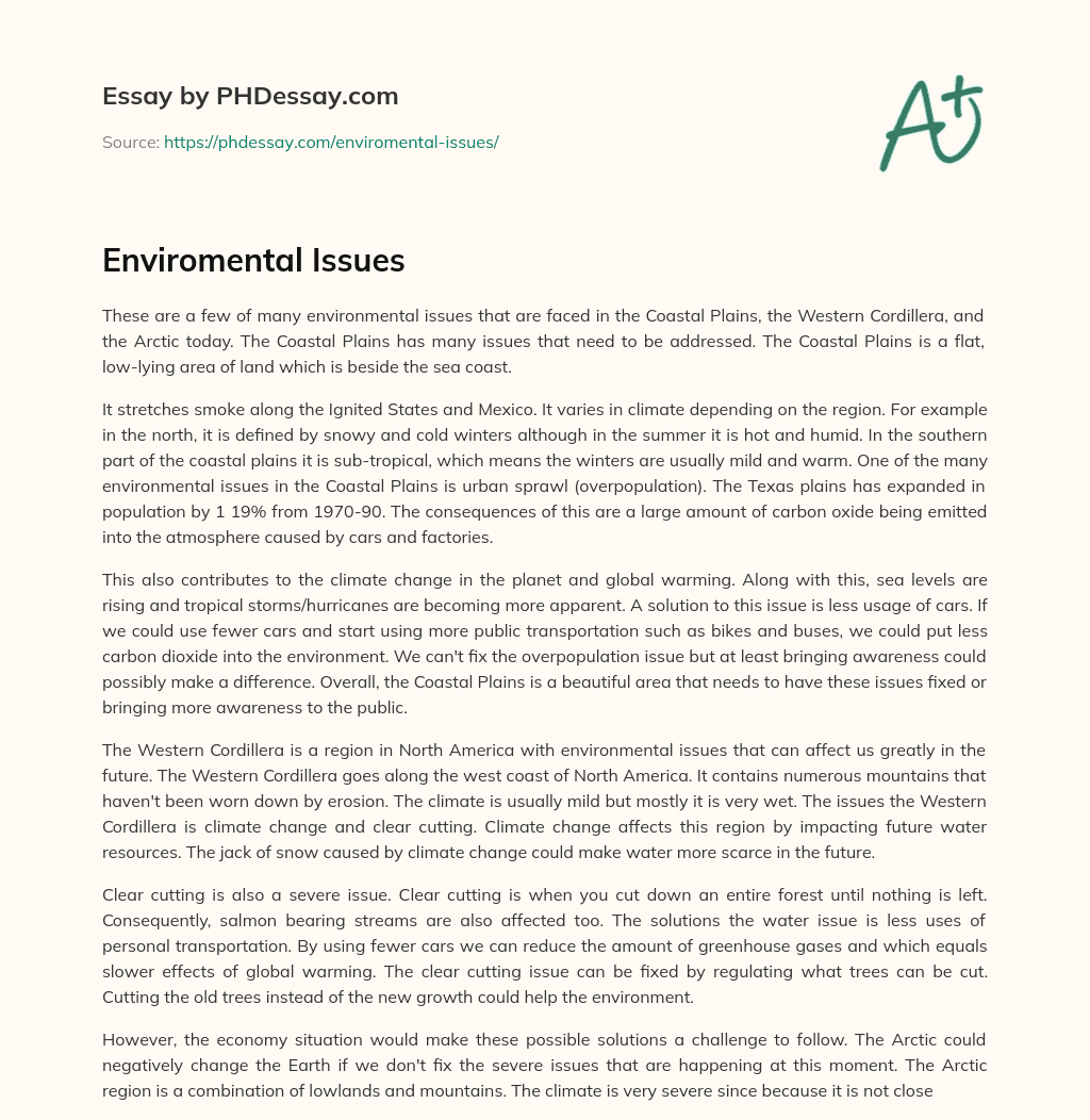 Enviromental Issues essay