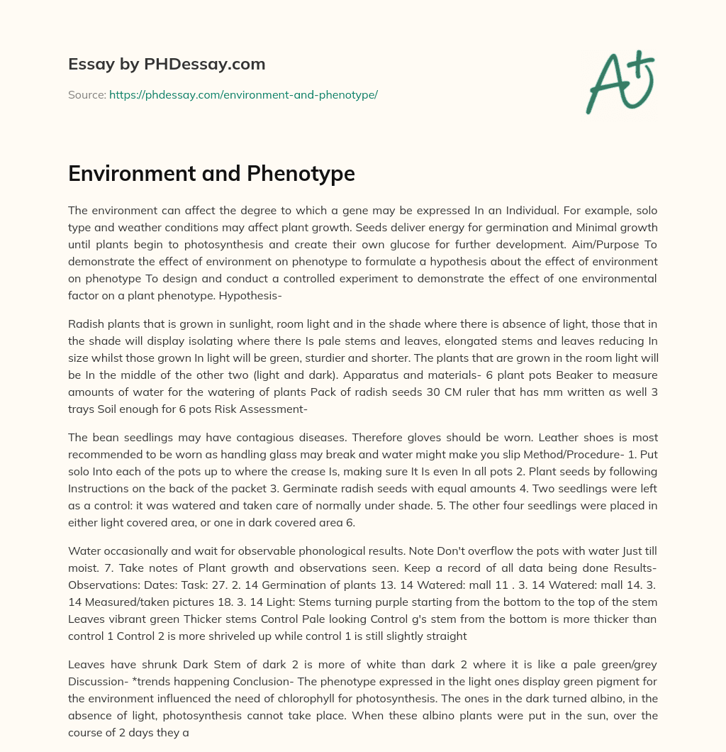 Environment and Phenotype essay