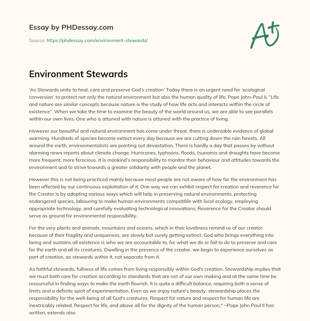 Environment Stewards essay