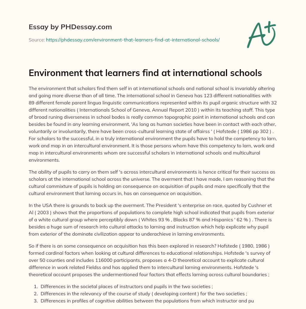 Environment that learners find at international schools essay