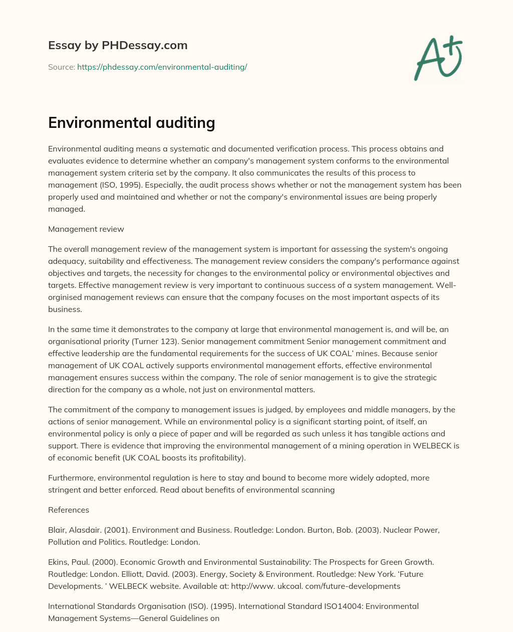 Environmental auditing essay