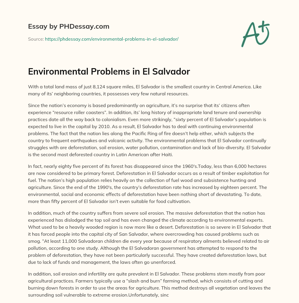 Environmental Problems in El Salvador essay