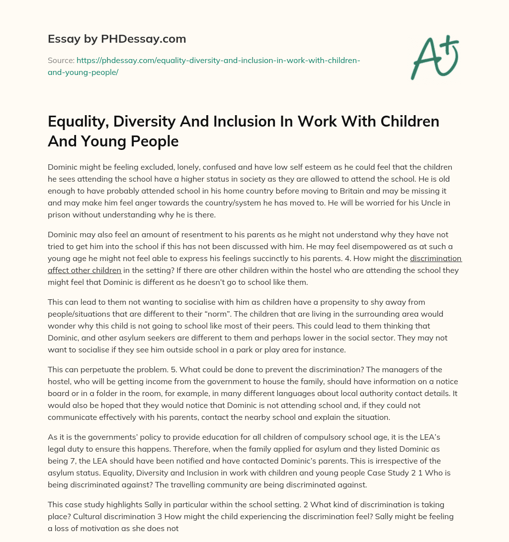 Equality, Diversity And Inclusion In Work With Children And Young People essay