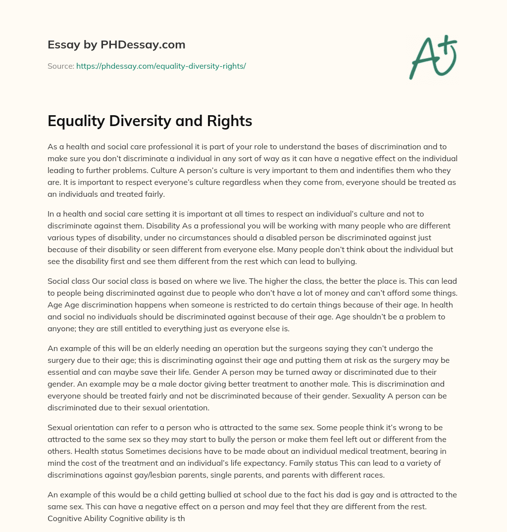 essay on diversity and equality